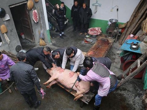 连吃几天杀猪饭，云南一男子患重症胰腺炎！