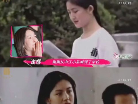 谢娜早期艺名叶子曝光，从绿叶到太阳女神蜕变