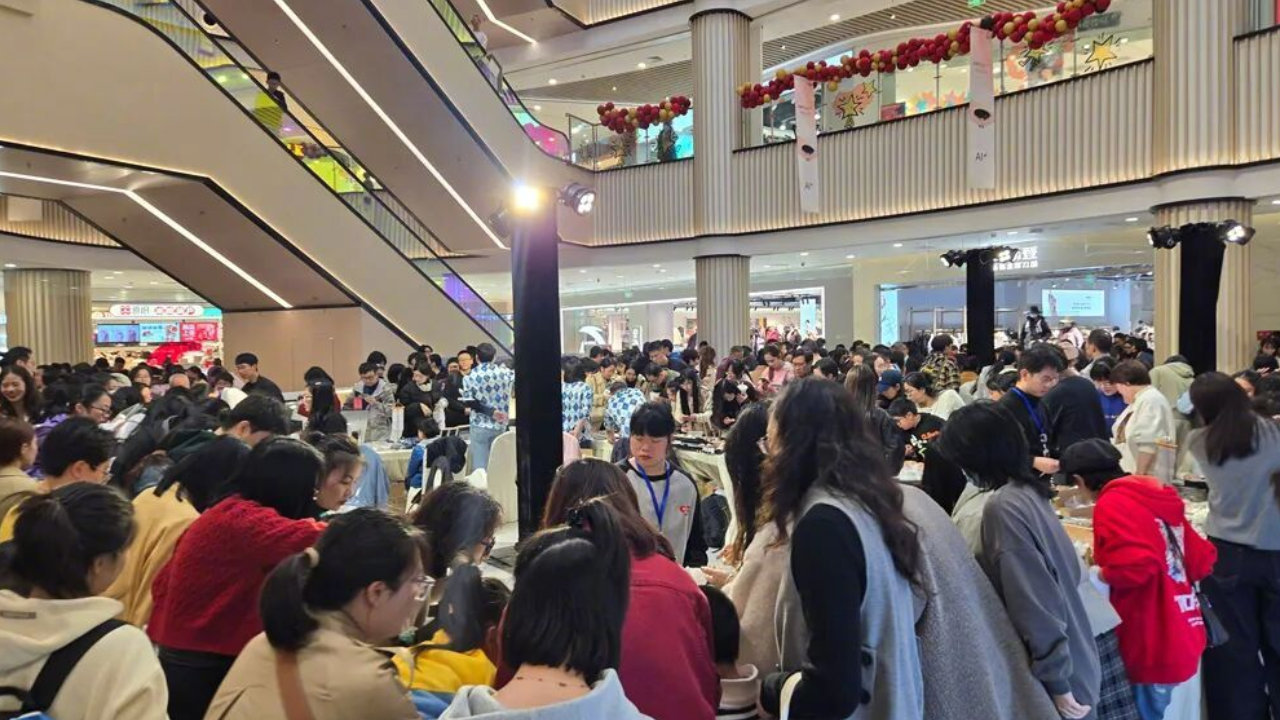 贝壳嘉年华，年度最大的贝展，全攻略