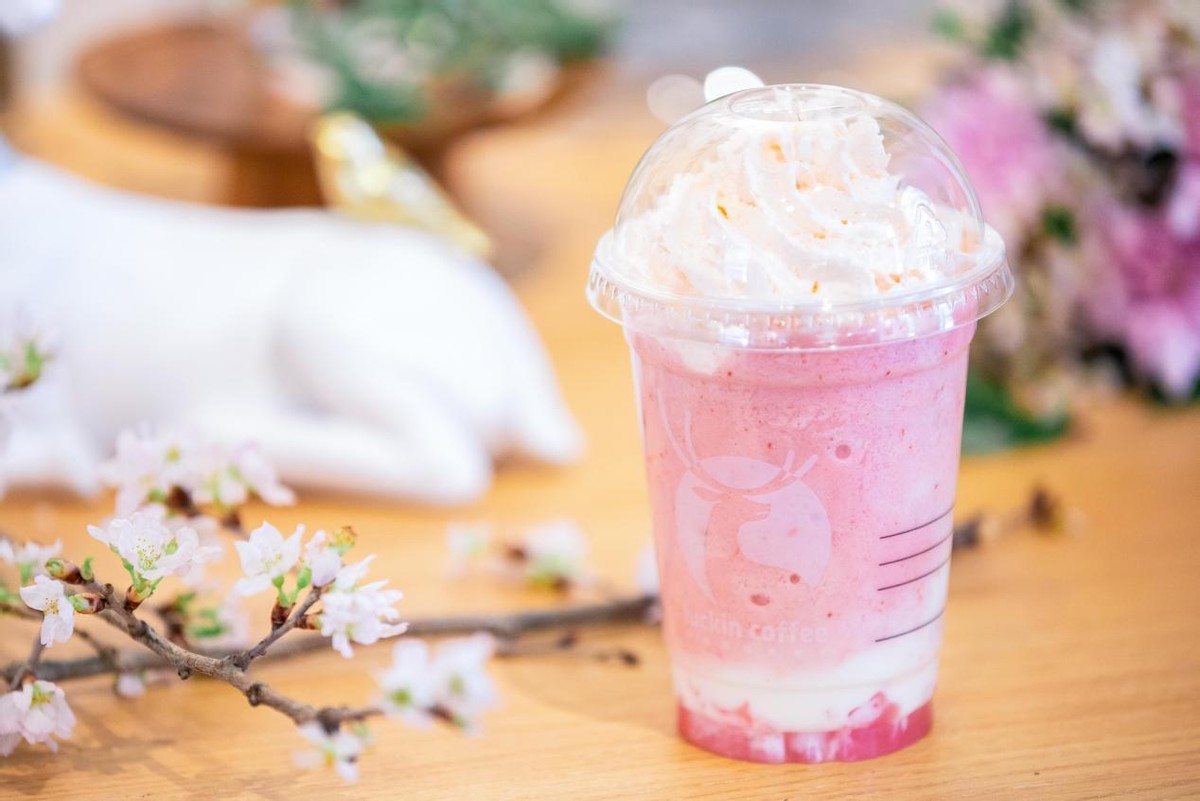 樱花草莓布丁｜属于女神们的浪漫清凉甜品 - 哔哩哔哩