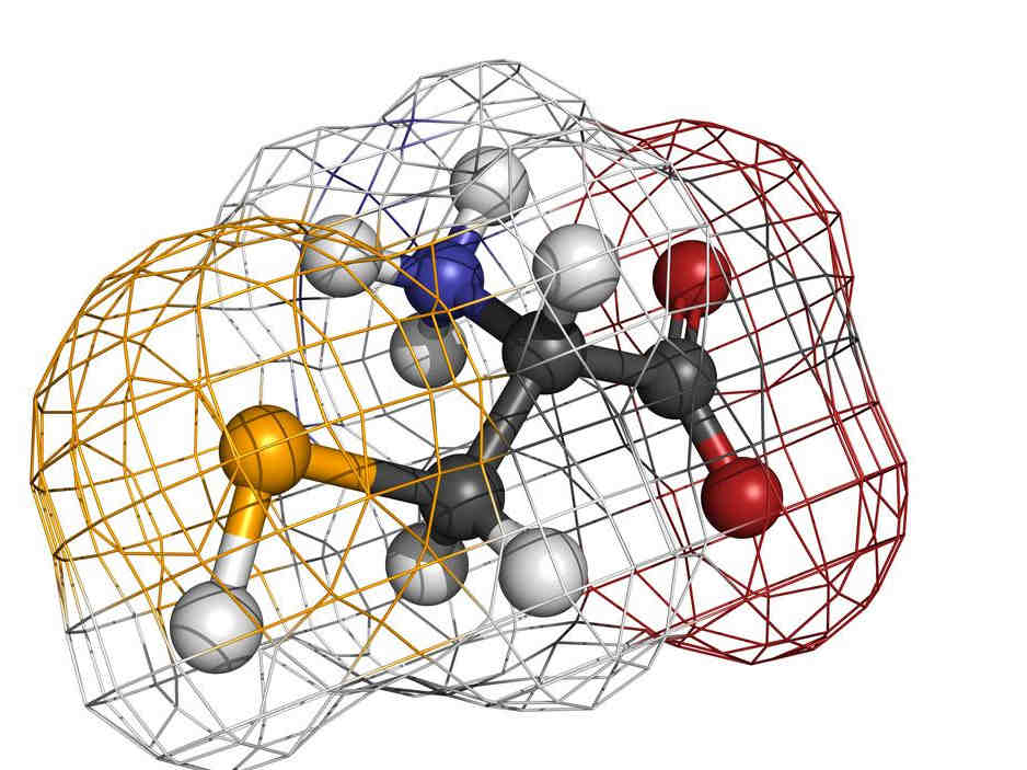 老年人补硒除了防癌还有3方面益处，多吃3类食物，不花冤枉钱