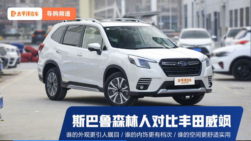 给家人更好的体验 鲁森林人对比威飒