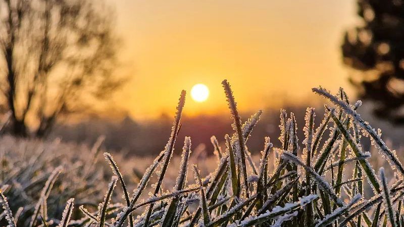中国汽车行业的盛夏寒冬