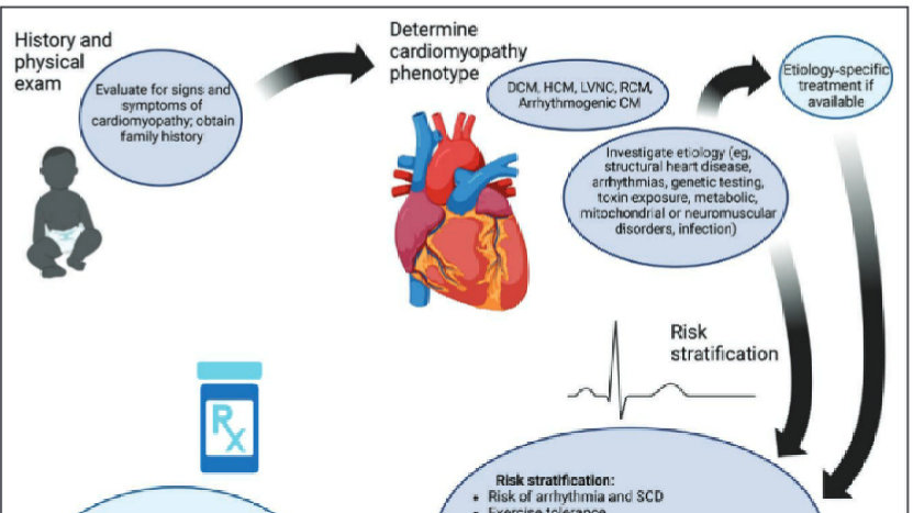 儿童心肌病，或与成人心肌病大不同！美国心脏协会科学声明