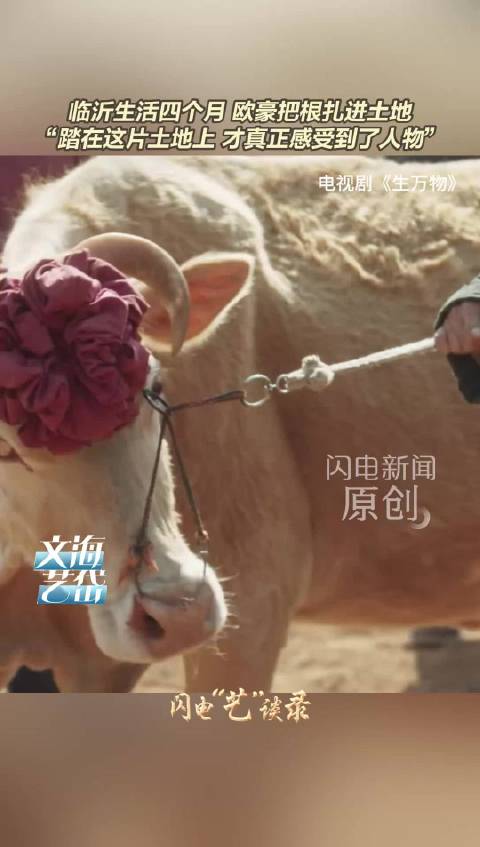 临沂生活四个月 欧豪把根扎进土地 “踏在这片土地上 才真正感受到了人物”