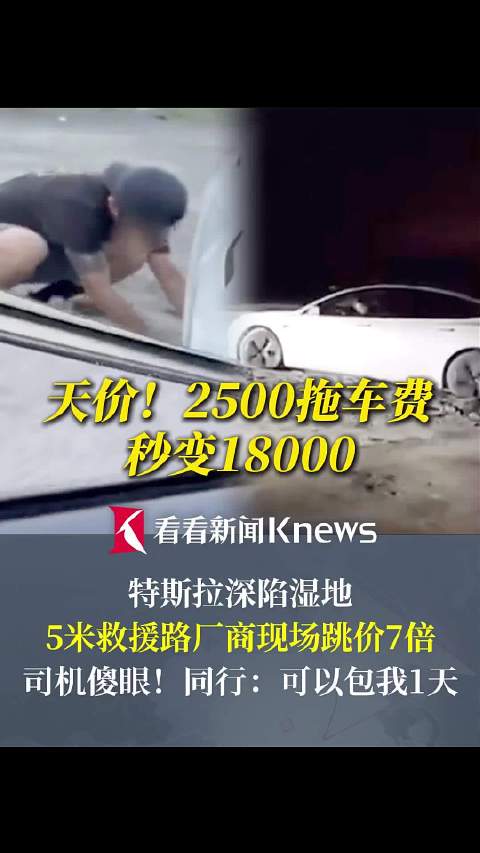 特斯拉深陷湿地 5米救援路厂家竟收18000