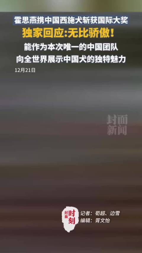 霍思燕回应爱犬夺冠：很骄傲在国际舞台展示中国犬的独特魅力