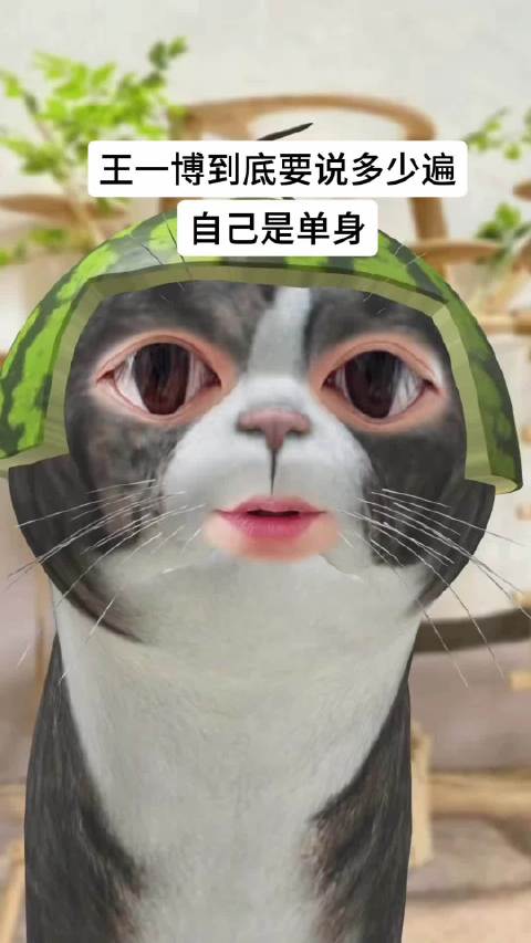 王一博到底要跟摩托姐姐表白多少遍，才能相信他只爱唯粉