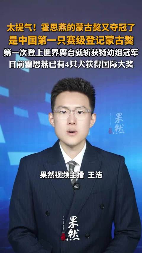 太提气！霍思燕的蒙古獒又夺冠了 是中国第一只赛级登记蒙古獒