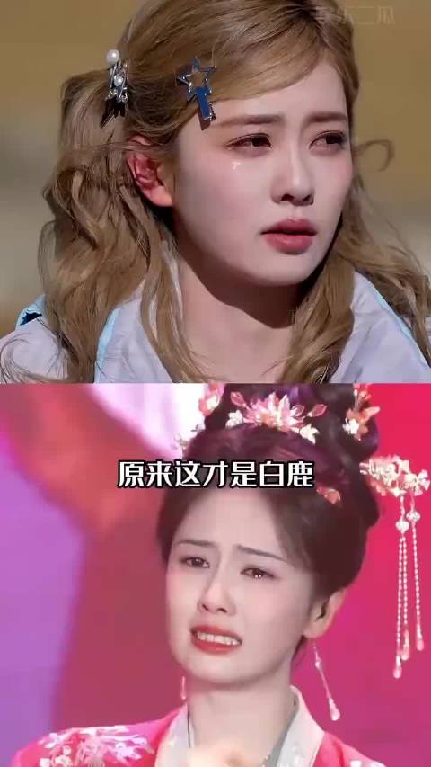 都别猜了,白鹿那半年的“休息”,根本不是放假。