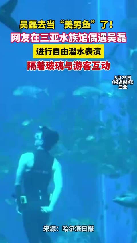 吴磊去当“美男鱼”了！网友在三亚水族馆偶遇吴磊自由潜水表演，隔着玻璃与游客互动