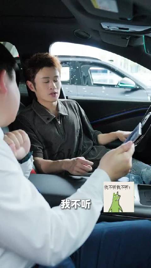 不是说好了，只看看不消费的…岚图追光S