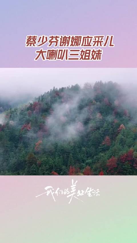蔡少芬谢娜应采儿大喇叭三姐妹 袁咏仪应采儿给工作人员发耳塞