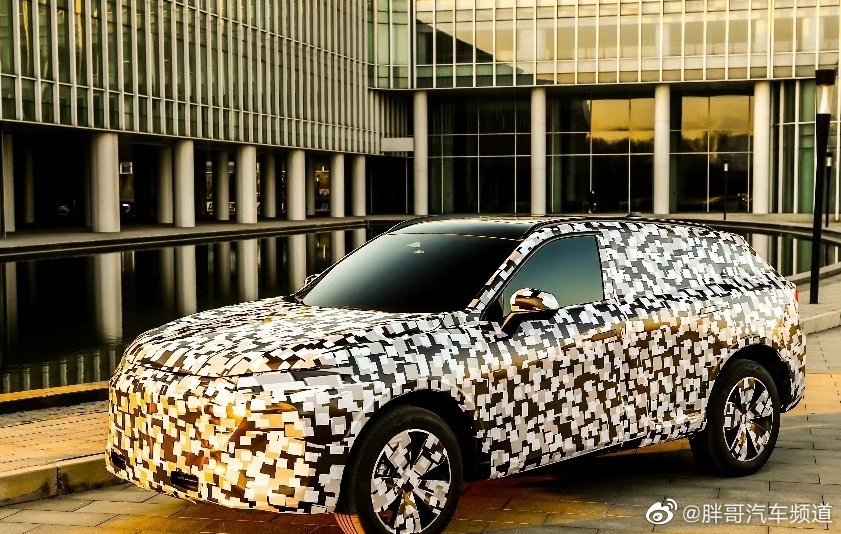 说是WEY的全新SUV，大概率会有混动版本。捂太严实了这也