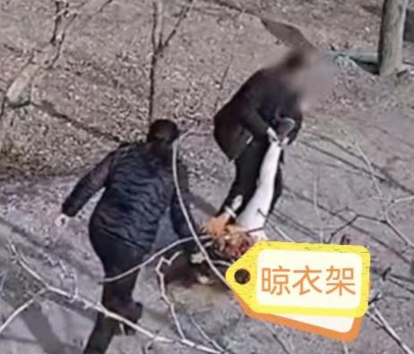 博主称拿不出50万彩礼女友被其父母强行拽走:在一起6年,已买房休闲区蓝鸢梦想 - Www.slyday.coM 博主称拿不出50万彩礼女友被其父母强行拽走:在一起6年,已买房休闲区蓝鸢梦想 - Www.slyday.coM