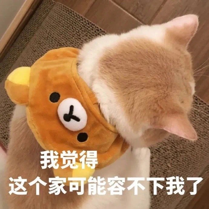 可爱小动物表情包