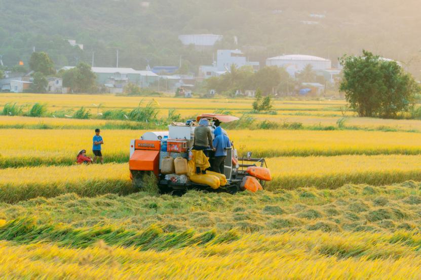 网商银行发布2025年ESG报告：服务7722万小微客户，AI驱动普惠金融服务全面升级