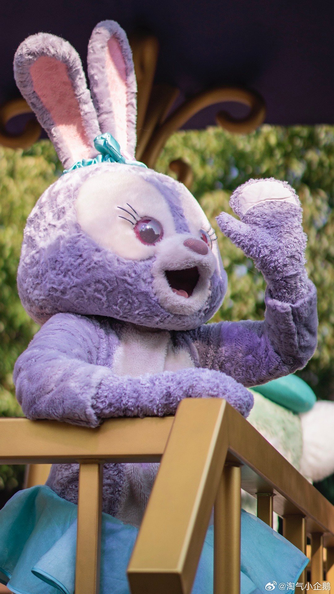 依旧是优雅的露露