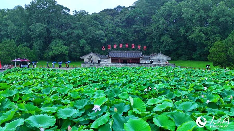 从《山海情》到《沉默的荣耀》，福建如何制造“爆款”？