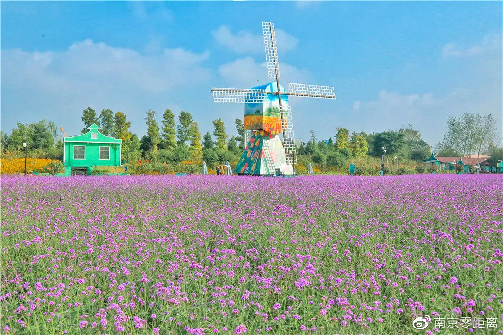 大咖云集！2021<a href=