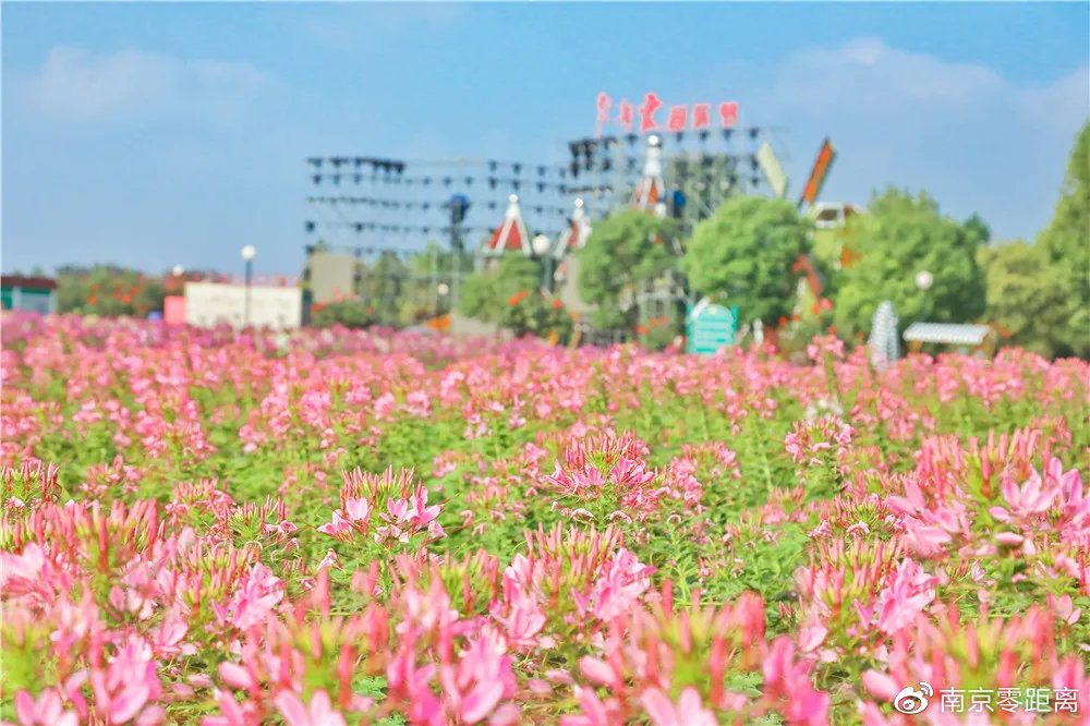 大咖云集！2021<a href=