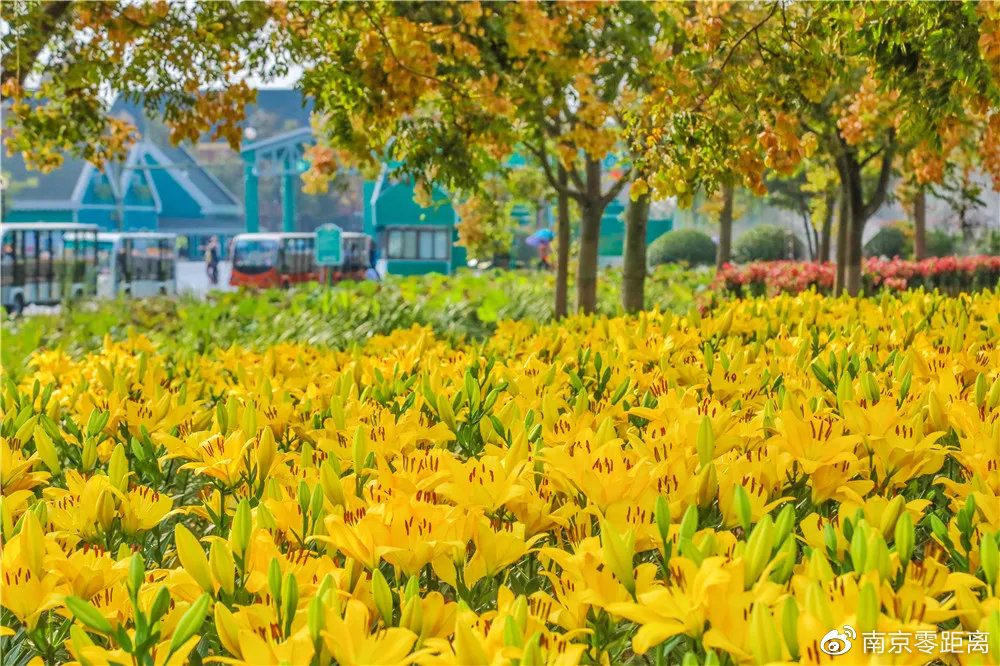 大咖云集！2021<a href=