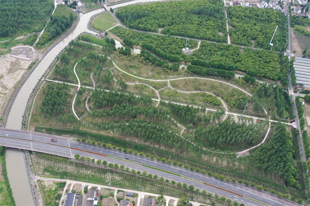又到赏花踏青季上海金山廊下郊野公园向市民游客发出诚挚邀请