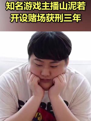 知名游戏主播山泥若开设赌场获刑三年