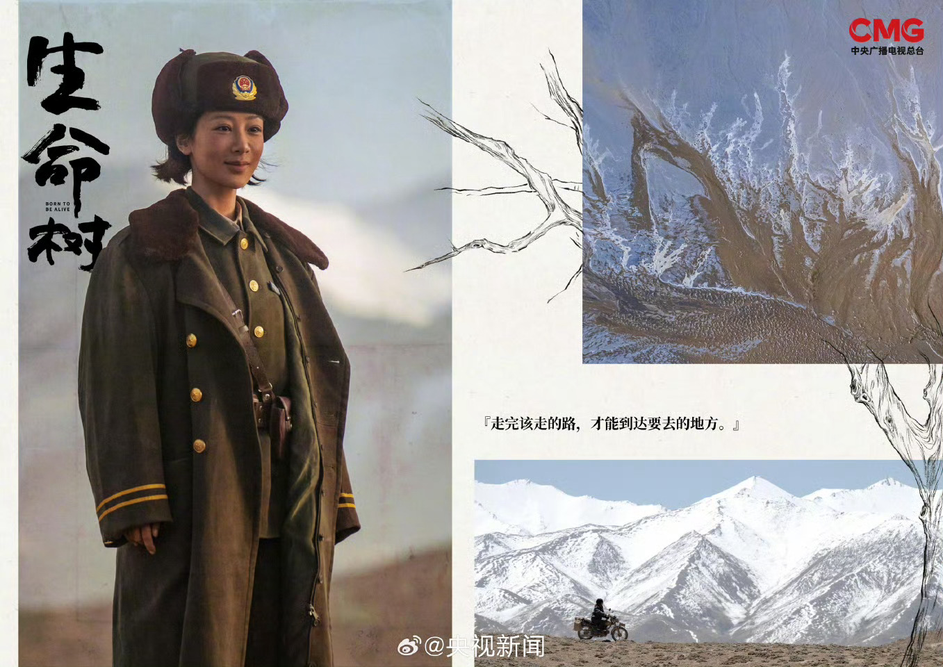 转发期待！生命树台词海报