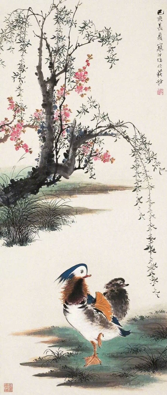 江寒汀花鸟画