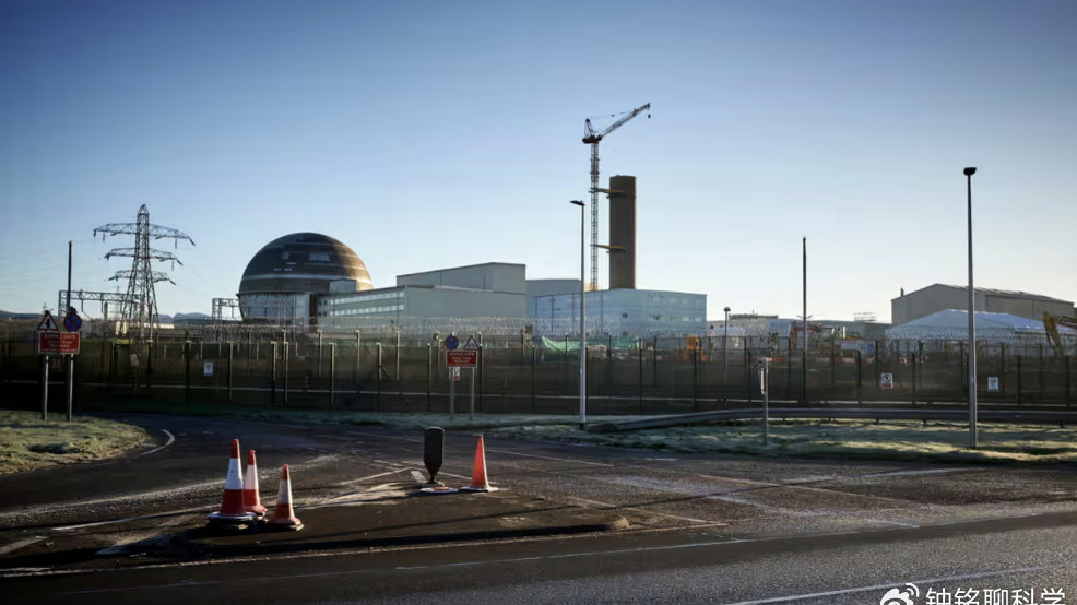 福岛核泄漏动物变异现状 辐射污染到底有多可怕