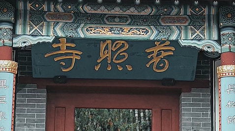 泰安市区竟藏着《卧虎藏龙》同款竹林！马上爆火，还有肥猫可rua！