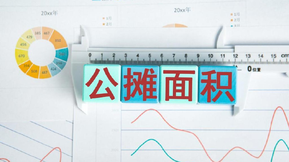 专家：取消公摊面积影响购房者权益！真会这样吗？|房价|开发商|买房|重庆市|楼市_新浪新闻