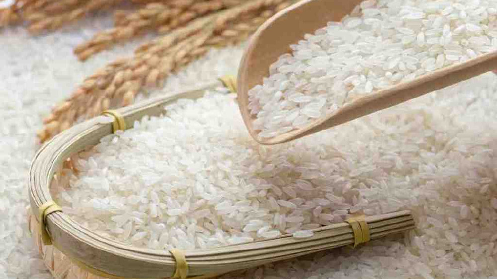 米袋生虫从何而来 米象虫子怎么处理