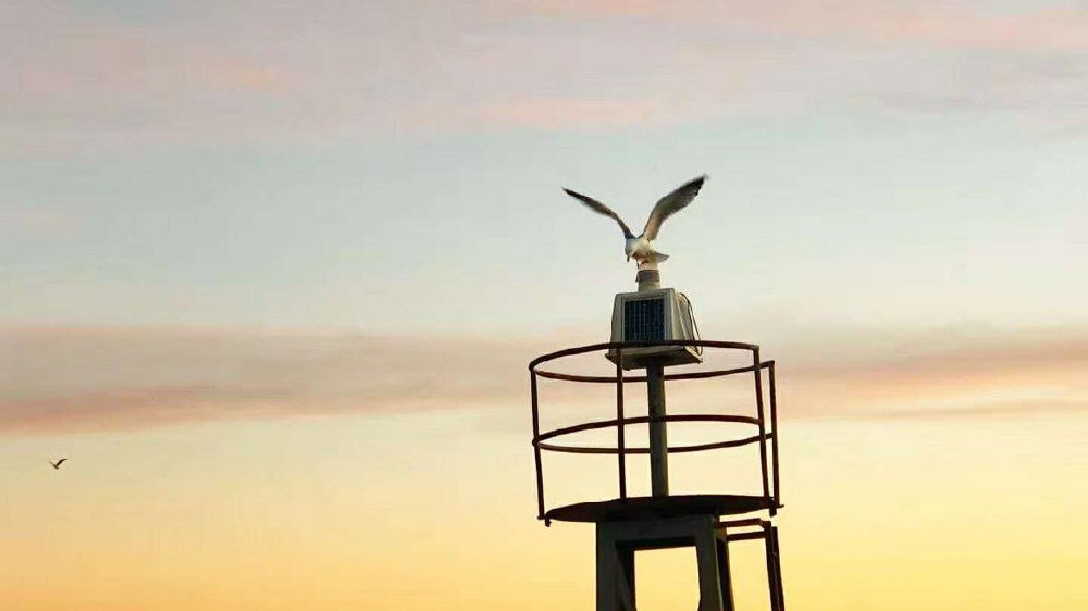 产销再创记录！2023年汽车业火爆，车企排位战更狠