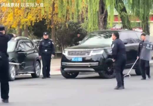 要么人虎 要么路虎 见义勇为这一块 还得是路虎