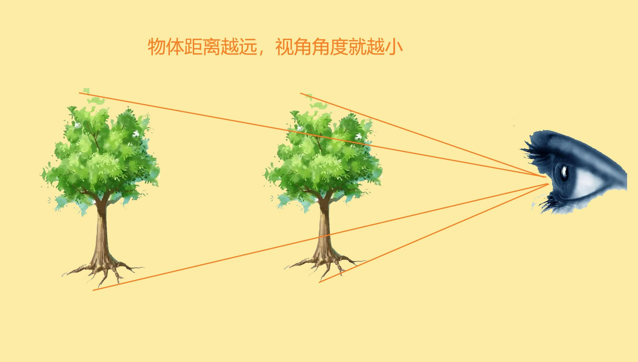 抬头就看到距离数百万光年的仙女座,人眼到底能看多远,有多快?休闲区蓝鸢梦想 - Www.slyday.coM 抬头就看到距离数百万光年的仙女座,人眼到底能看多远,有多快?休闲区蓝鸢梦想 - Www.slyday.coM