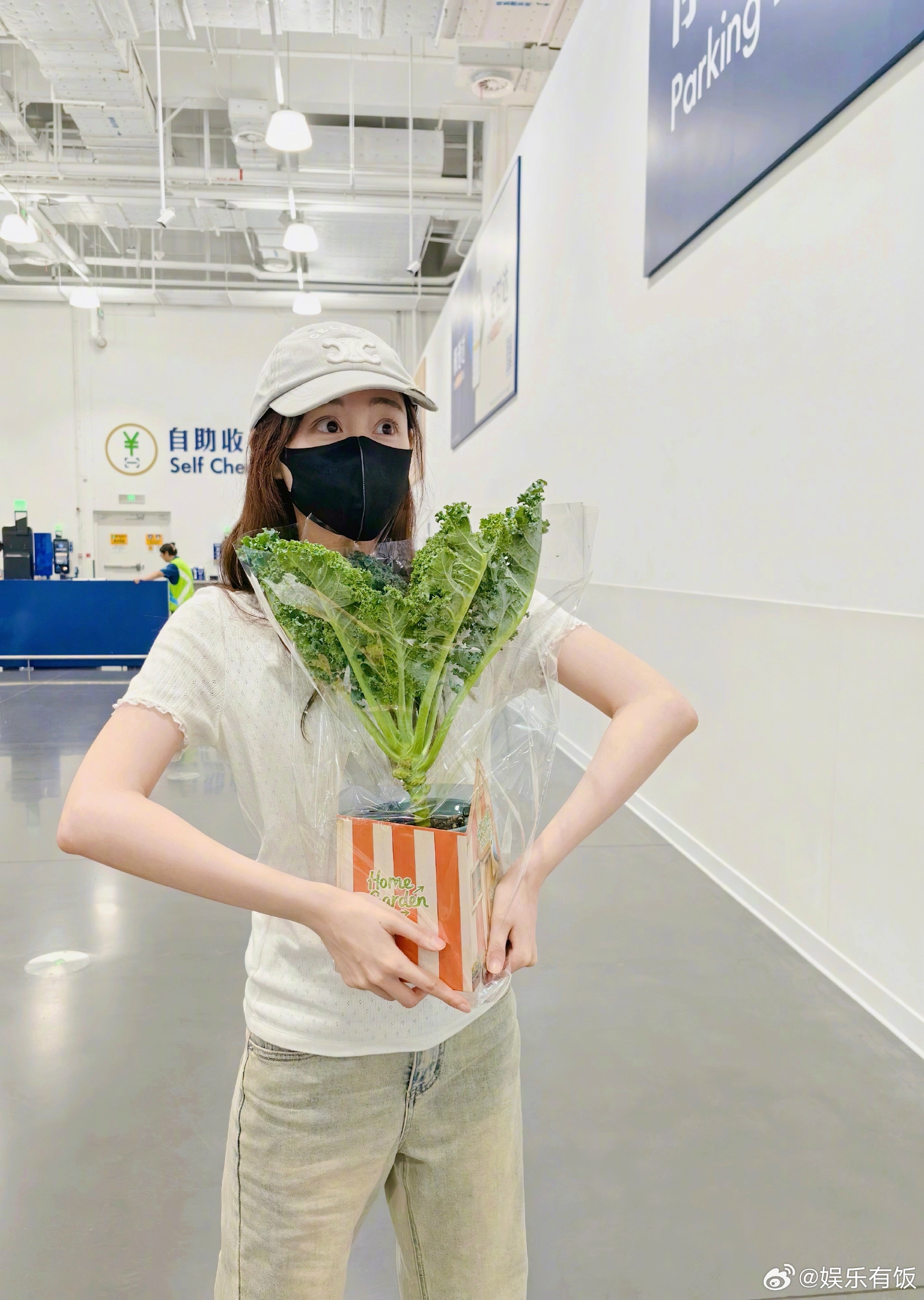 祝绪丹盆栽日抛型，刚买就被端上桌