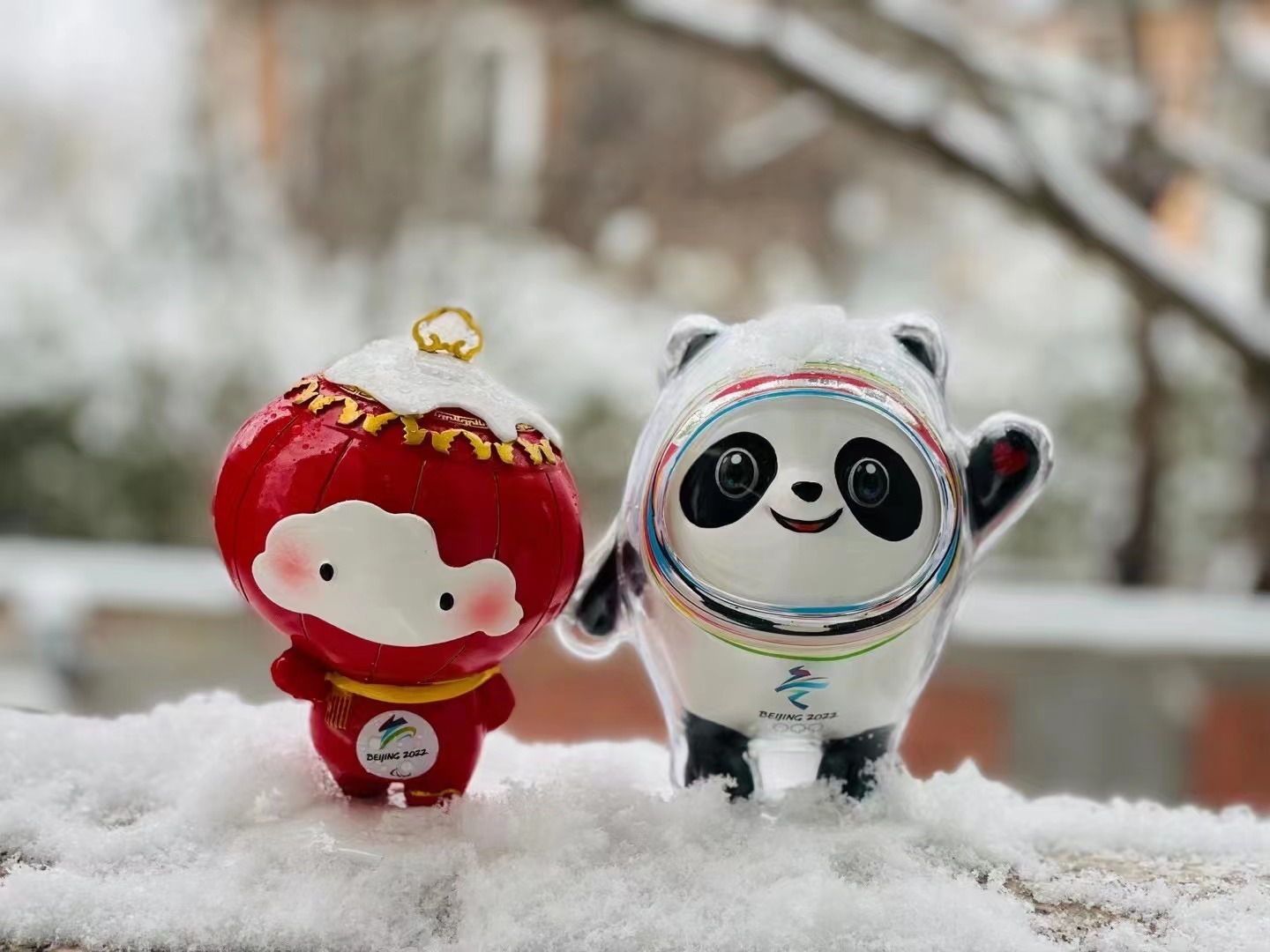 北京下雪了寻找冰墩墩雪容融大赛你们猜猜都是哪里