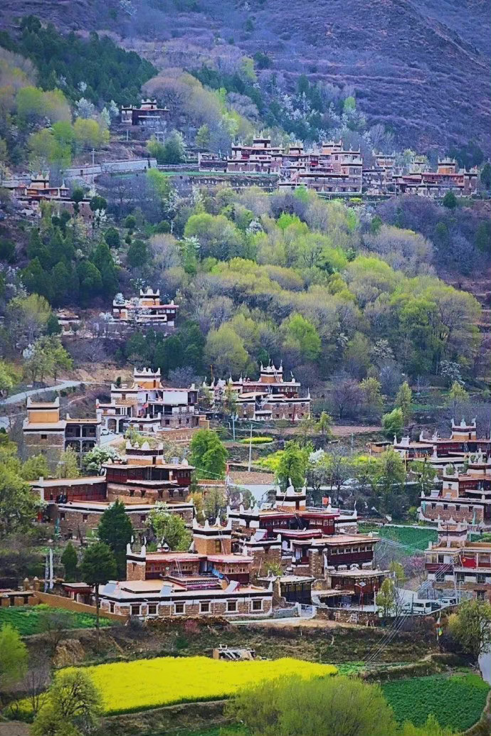 丹巴藏寨周围葱绿的树与之交相呼应