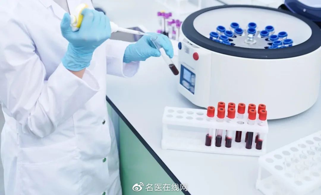 真假解析