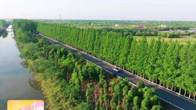 李晟张泉灵加盟芒果新综艺《背后》5月18日开播