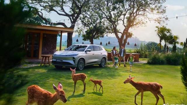 15万内最舒适的豪华座舱？风神L8的底气来自哪里