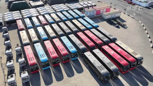 212辆北非定制车型从天津港启运