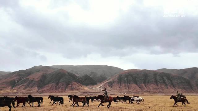 五一假期，我在军马勤务班的一天