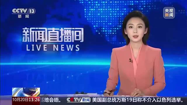 法国政府宣布多个城市实施宵禁