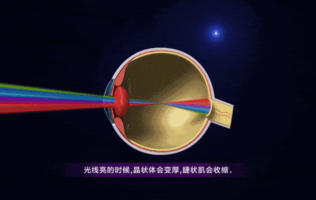 抬头就看到距离数百万光年的仙女座,人眼到底能看多远,有多快?休闲区蓝鸢梦想 - Www.slyday.coM 抬头就看到距离数百万光年的仙女座,人眼到底能看多远,有多快?休闲区蓝鸢梦想 - Www.slyday.coM