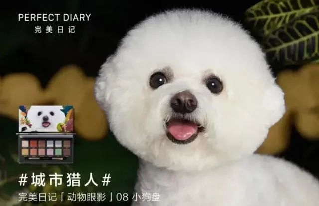 猫猫狗狗都能直播带货,MCN机构到底有多内卷?休闲区蓝鸢梦想 - Www.slyday.coM 猫猫狗狗都能直播带货,MCN机构到底有多内卷?休闲区蓝鸢梦想 - Www.slyday.coM