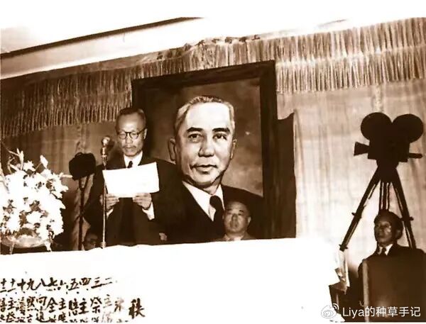 “TVB第一美人”背后，她到底赢在了哪？