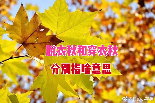 2022年阴历七月初十立秋，老人说：今年是“脱衣秋”，有啥说法？